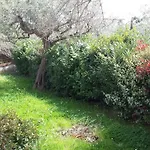 Incanto Dei Trabocchi Un Gioiello Esclusivo Tra Mare E Natura *