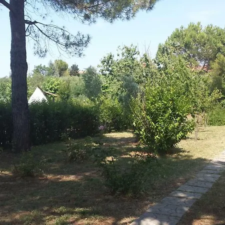 Incanto Dei Trabocchi Un Gioiello Esclusivo Tra Mare E Natura