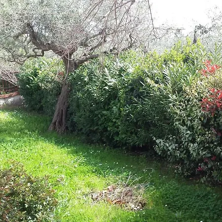 Incanto Dei Trabocchi Un Gioiello Esclusivo Tra Mare E Natura *